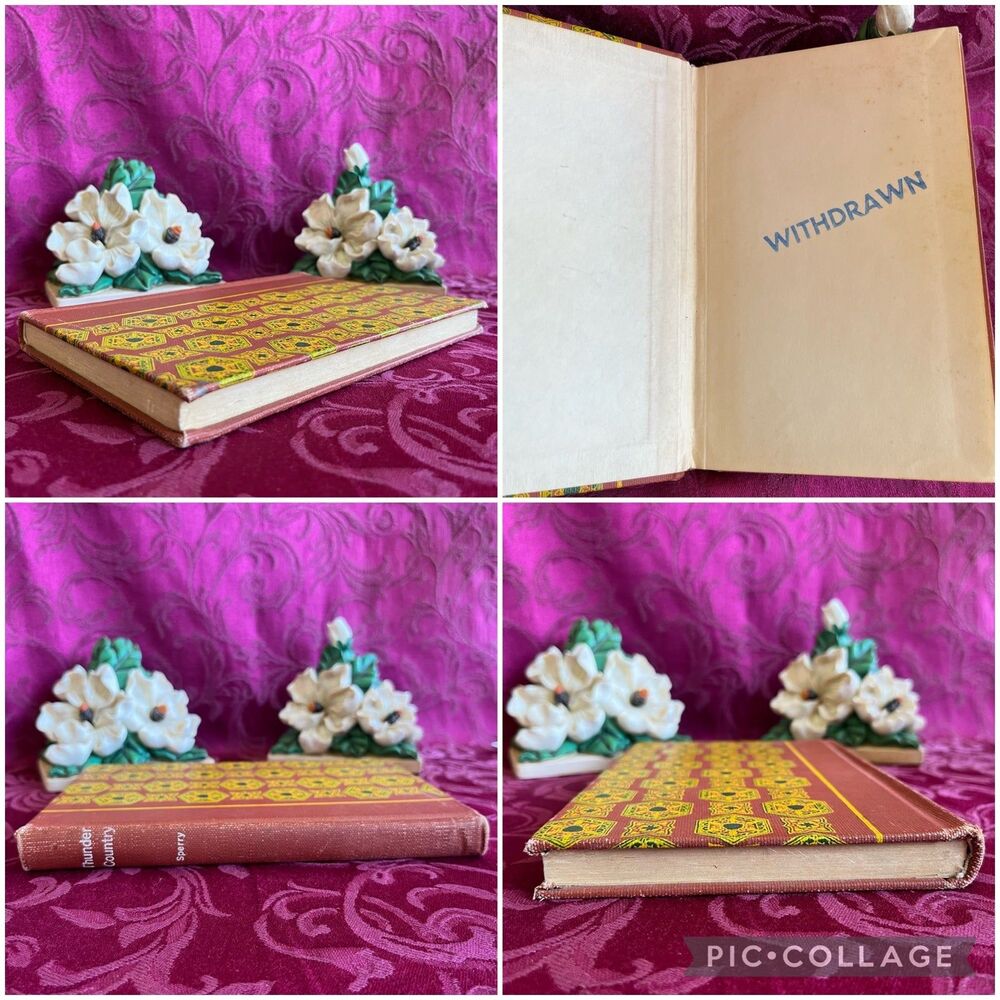 📚3 for $9 📚 1952 Vintage Book: Thunder Country Written and Illustrated - Picture 3 of 12